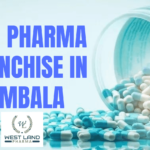 PCD Pharma Franchise in Ambala