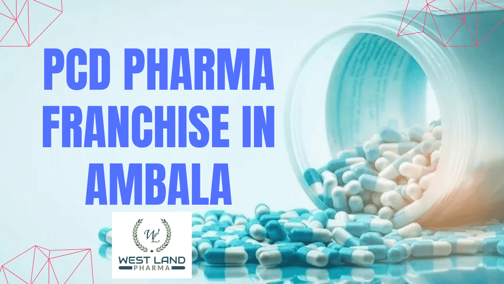 You are currently viewing PCD Pharma Franchise in Ambala