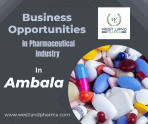 Read more about the article Business Opportunity in Pharma Sector in Ambala